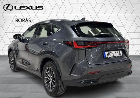 Lexus NX, 2024