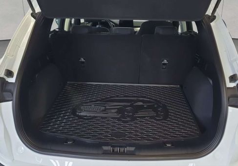 Ford Kuga, 2021