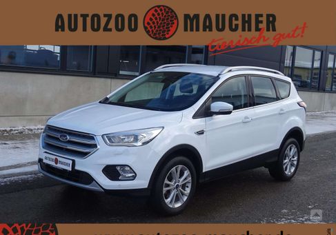 Ford Kuga, 2019