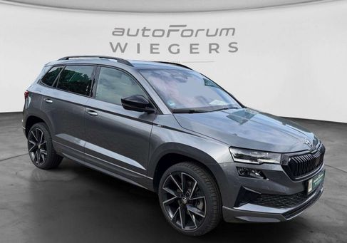 Skoda Karoq, 2024