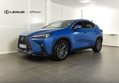 Lexus NX, 2023
