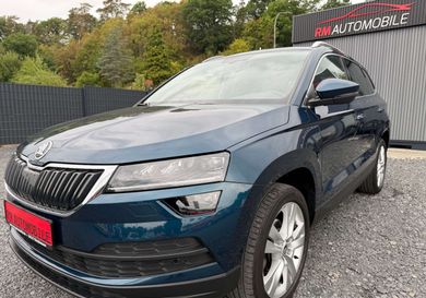 Skoda Karoq, 2019