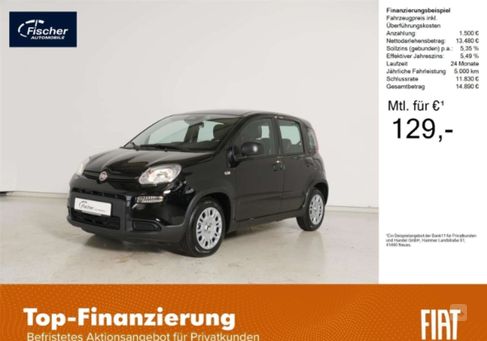 Fiat Panda, 2024