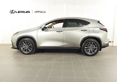 Lexus NX, 2024
