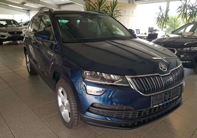 Skoda Karoq, 2020