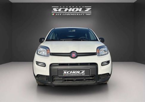 Fiat Panda, 2024