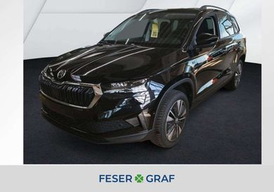 Skoda Karoq, 2025