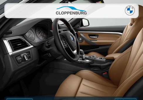 BMW 420, 2019 3
