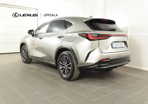 Lexus NX, 2024