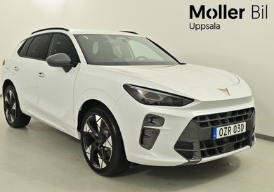 Cupra, 2026