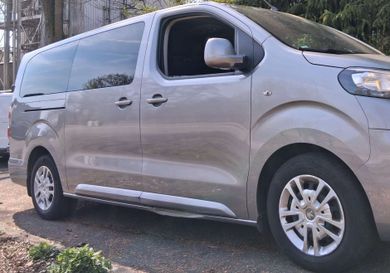 Peugeot Traveller, 2019