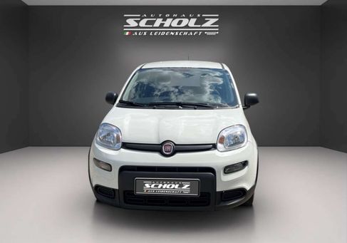 Fiat Panda, 2024