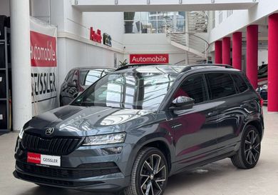 Skoda Karoq, 2020