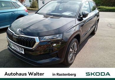Skoda Karoq, 2024