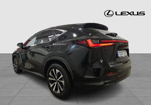 Lexus NX, 2024 3