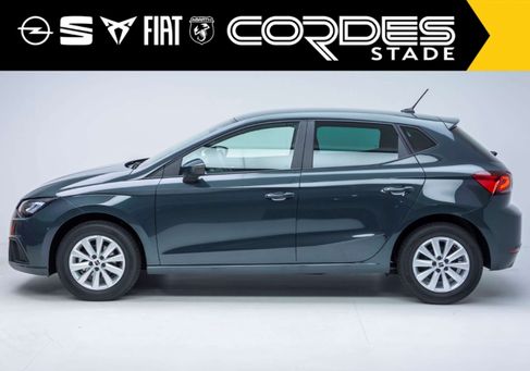 Seat Ibiza, 2025
