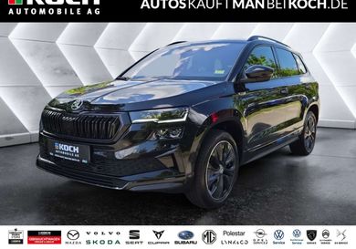 Skoda Karoq, 2024
