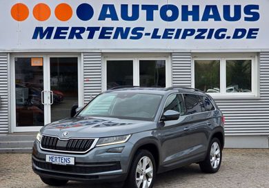 Skoda Kodiaq, 2019