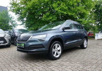 Skoda Karoq, 2019