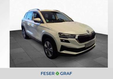 Skoda Karoq, 2024
