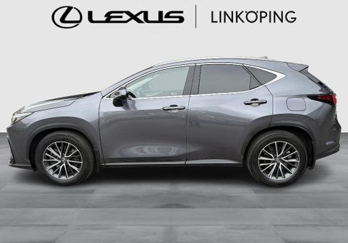 Lexus NX, 2025
