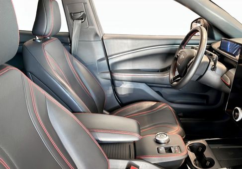 Ford Mustang Mach-E, 2021 3