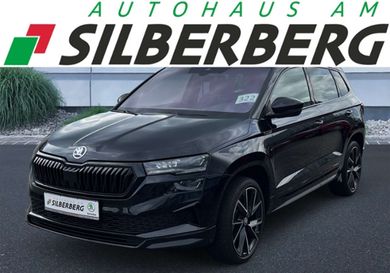 Skoda Karoq, 2023