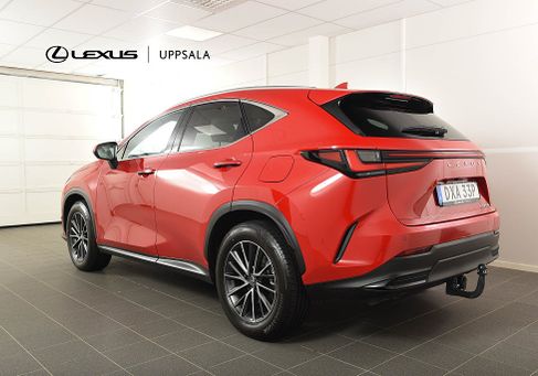 Lexus NX, 2025 3