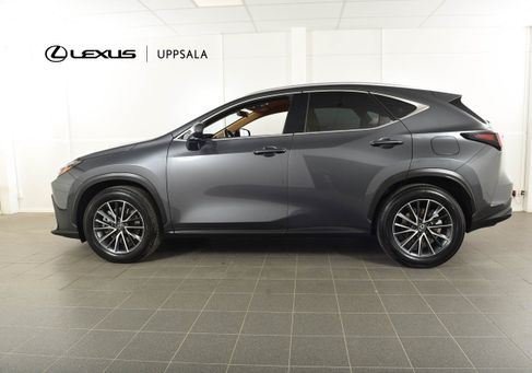 Lexus NX, 2025