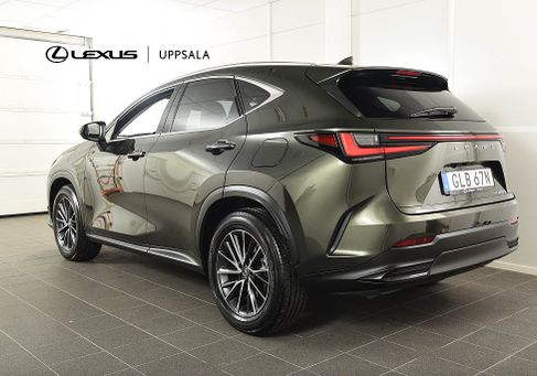 Lexus NX, 2025 2