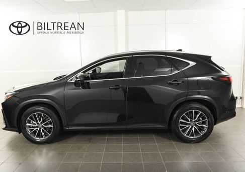 Lexus NX, 2023