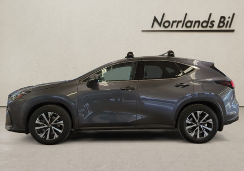 Lexus NX, 2023