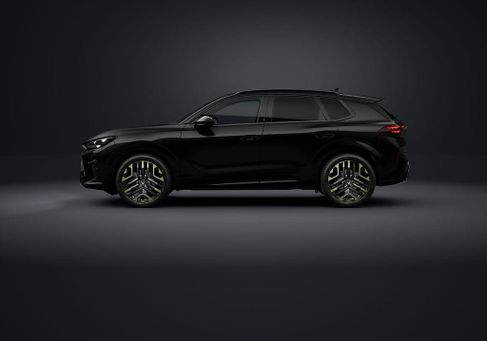 Cupra, 2026