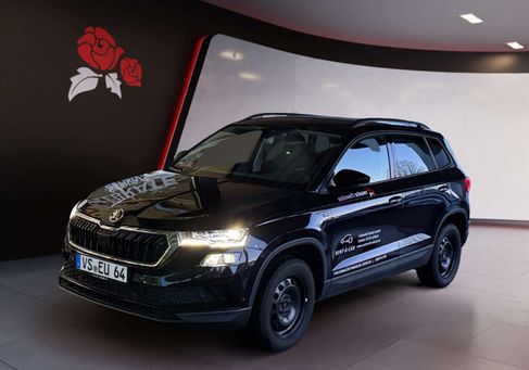 Skoda Karoq, 2024
