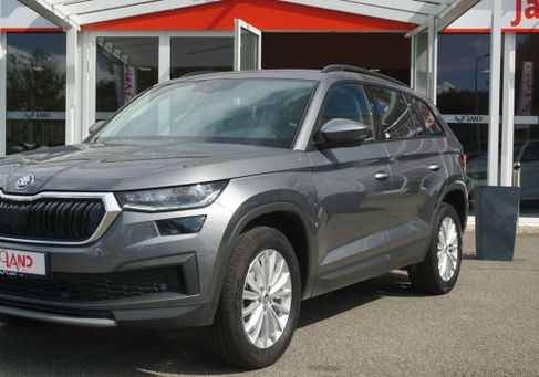Skoda Kodiaq, 2024
