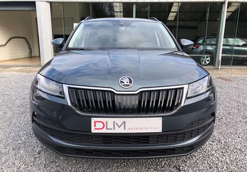Skoda Karoq, 2019