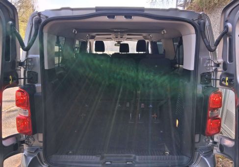 Peugeot Traveller, 2019