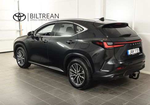 Lexus NX, 2023