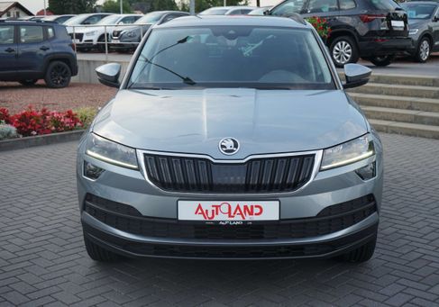 Skoda Karoq, 2019