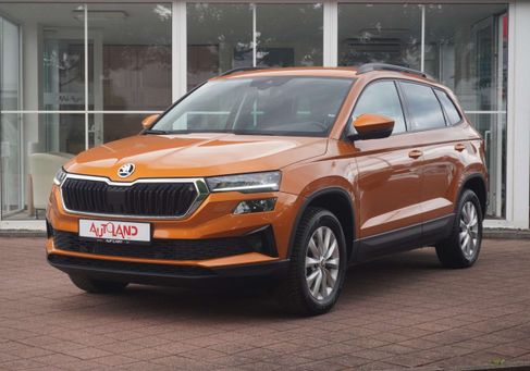 Skoda Karoq, 2024