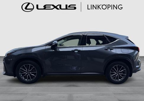 Lexus NX, 2022