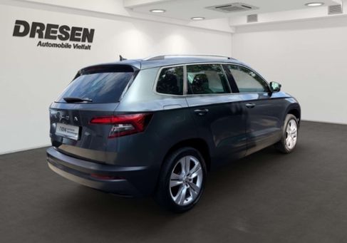 Skoda Karoq, 2020