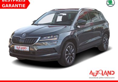 Skoda Karoq, 2020
