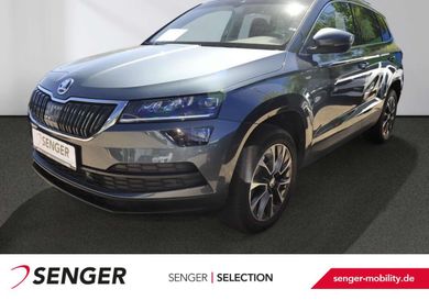 Skoda Karoq, 2020