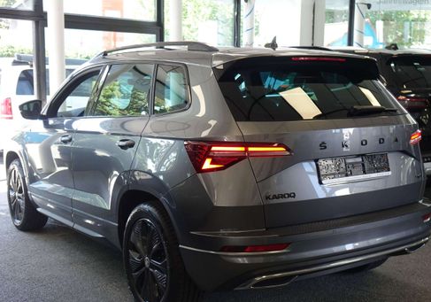 Skoda Karoq, 2023