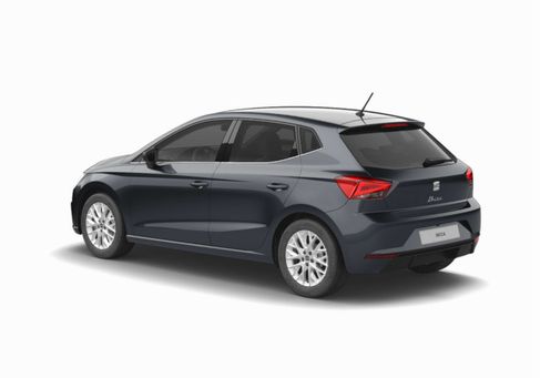 Seat Ibiza, 2025