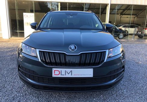 Skoda Karoq, 2019