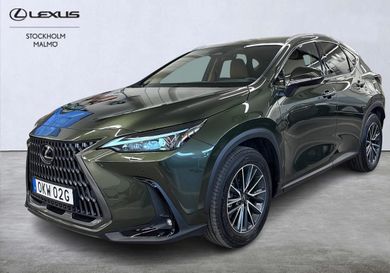 Lexus NX, 2025