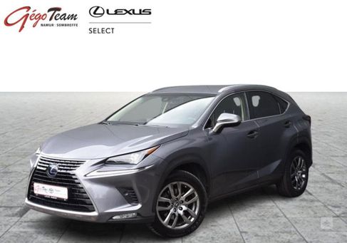 Lexus NX, 2019