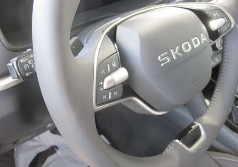 Skoda Karoq, 2026